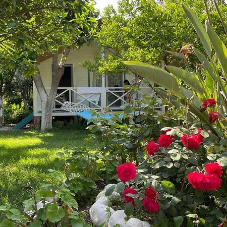Bellerofon Beach Otel Çıralı Exteriör bild