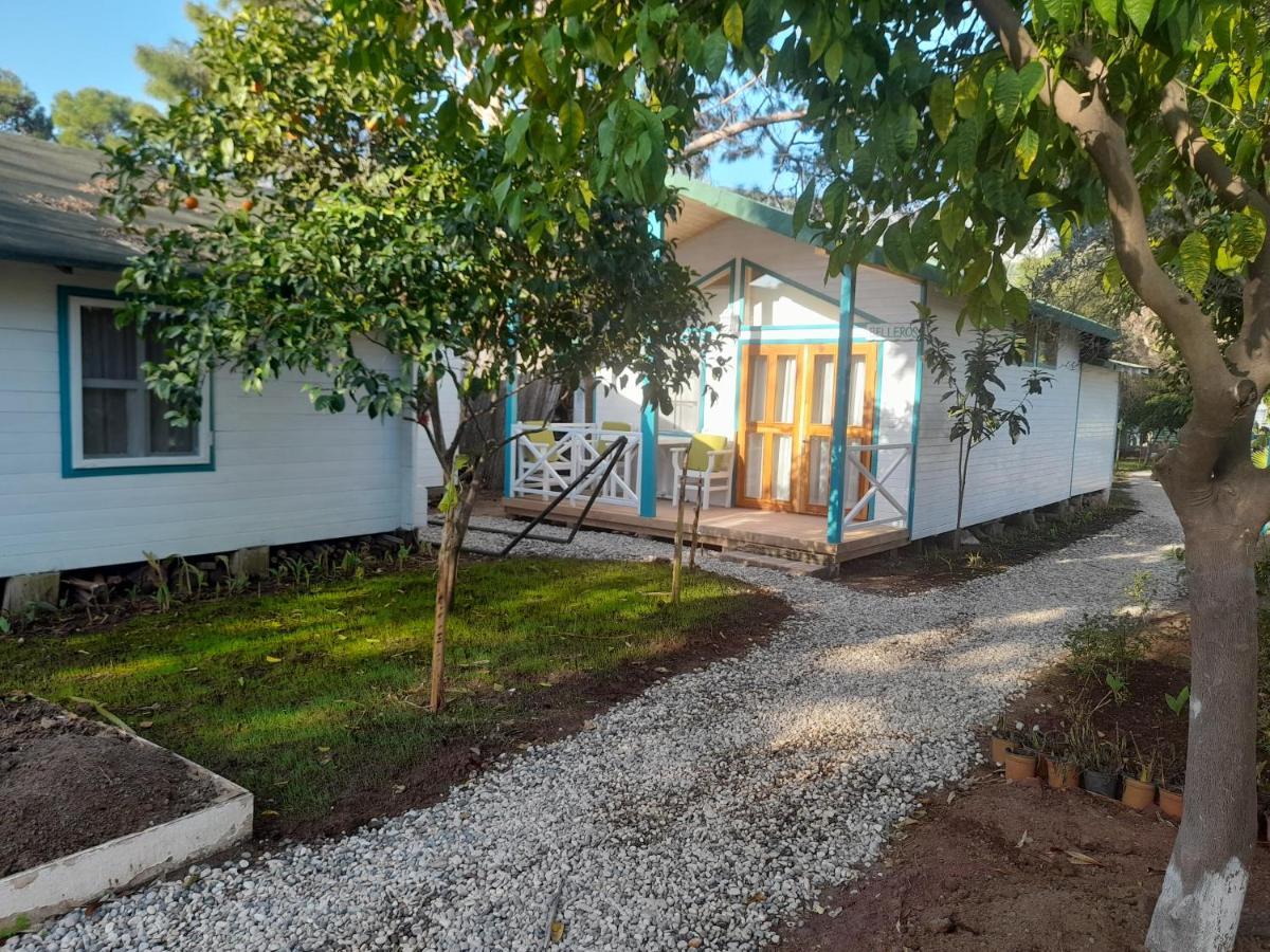 Bellerofon Beach Otel Çıralı Exteriör bild