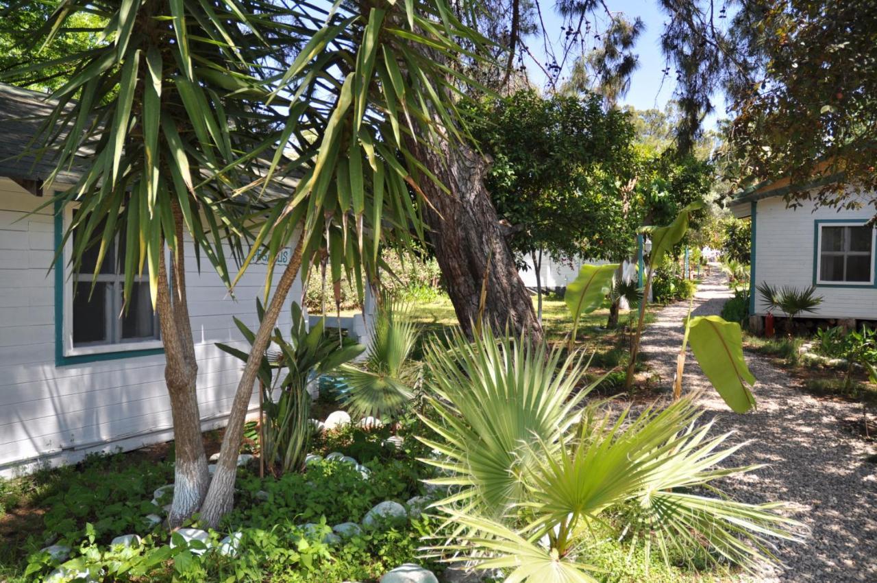 Bellerofon Beach Otel Çıralı Exteriör bild
