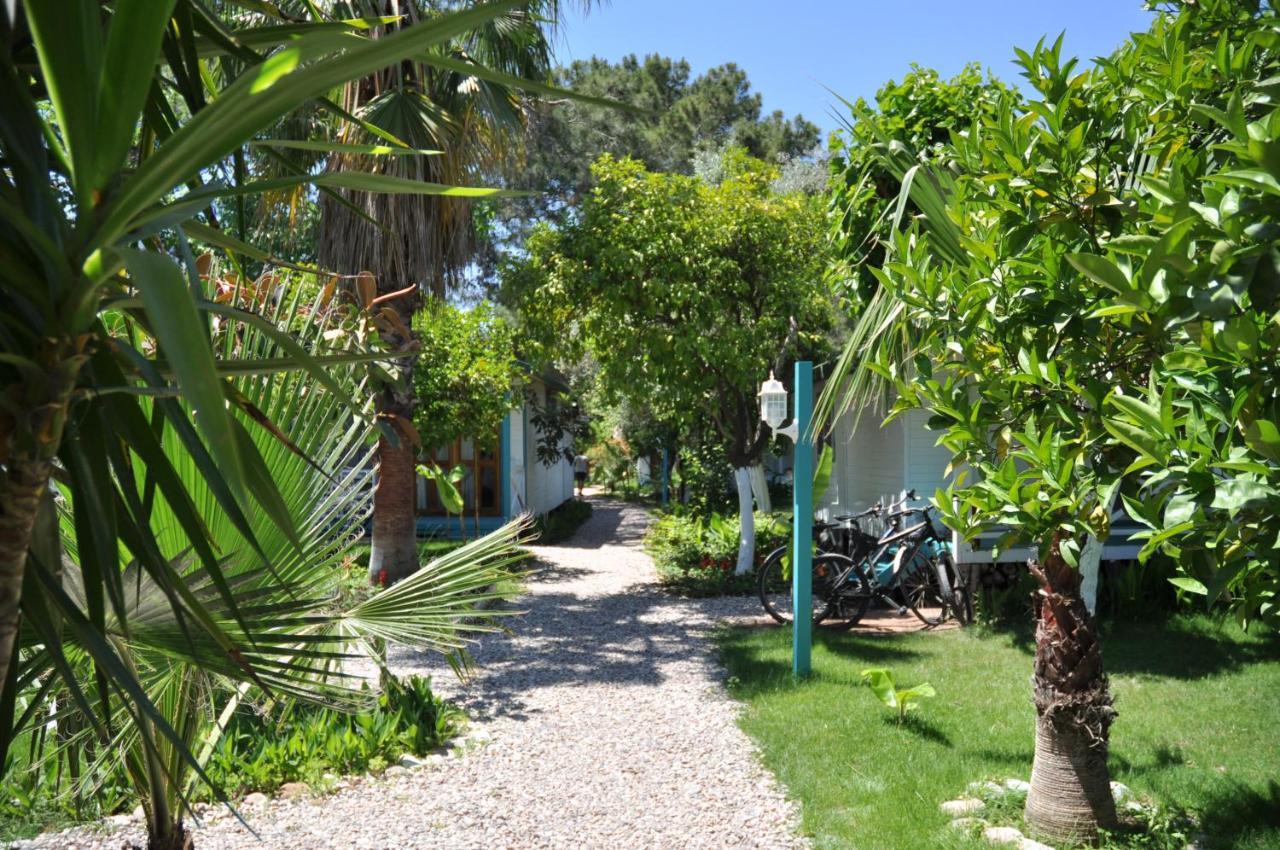 Bellerofon Beach Otel Çıralı Exteriör bild