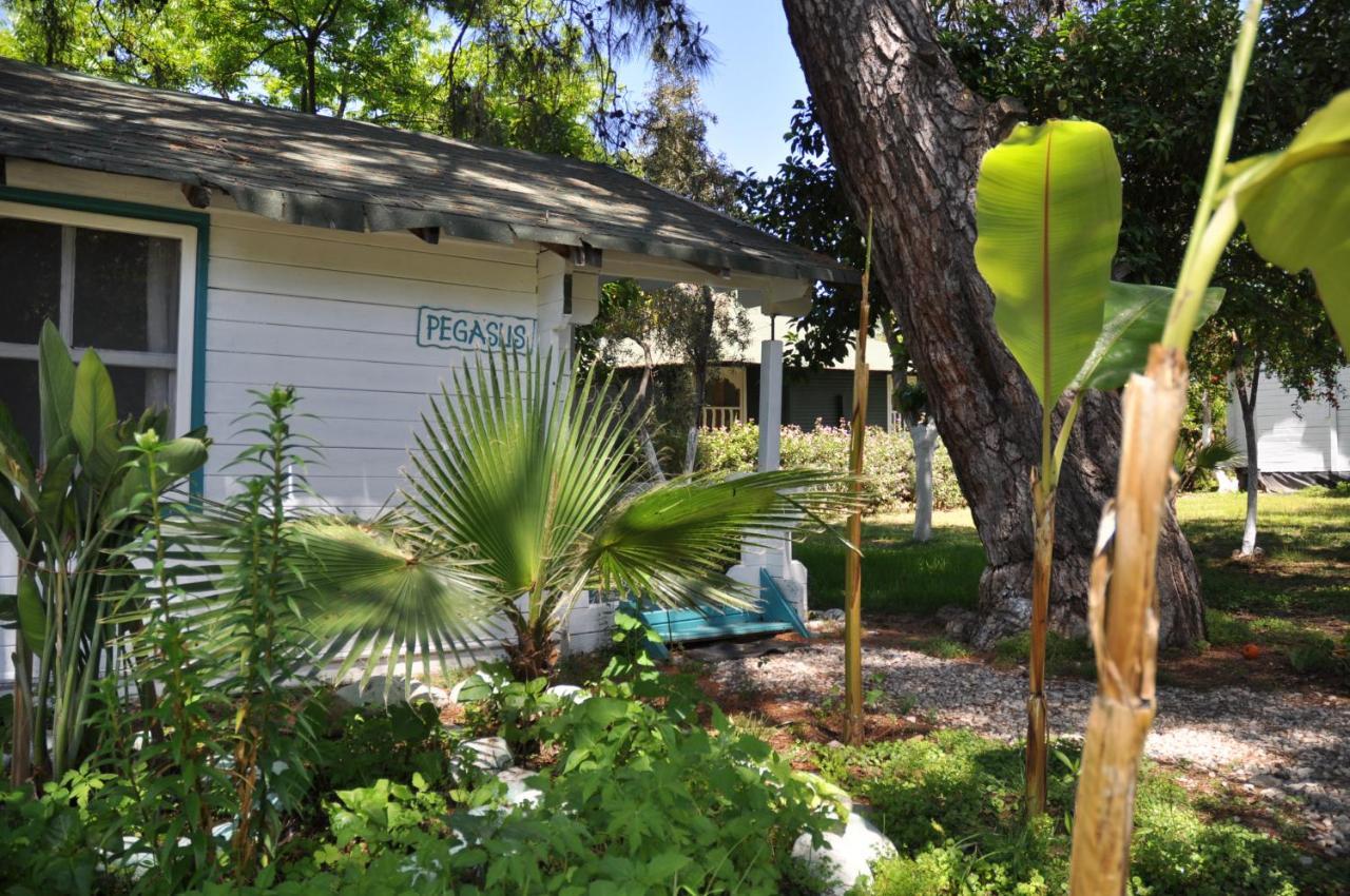 Bellerofon Beach Otel Çıralı Exteriör bild