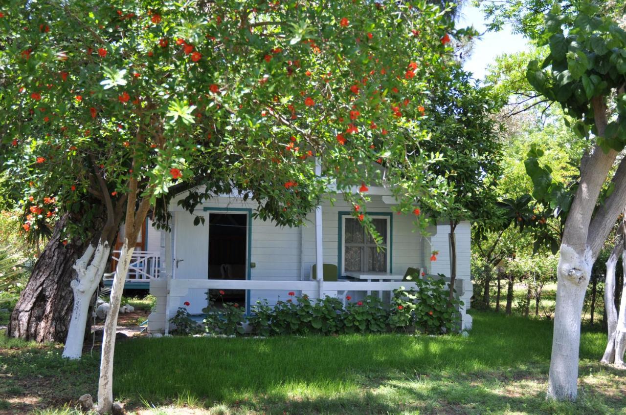 Bellerofon Beach Otel Çıralı Exteriör bild