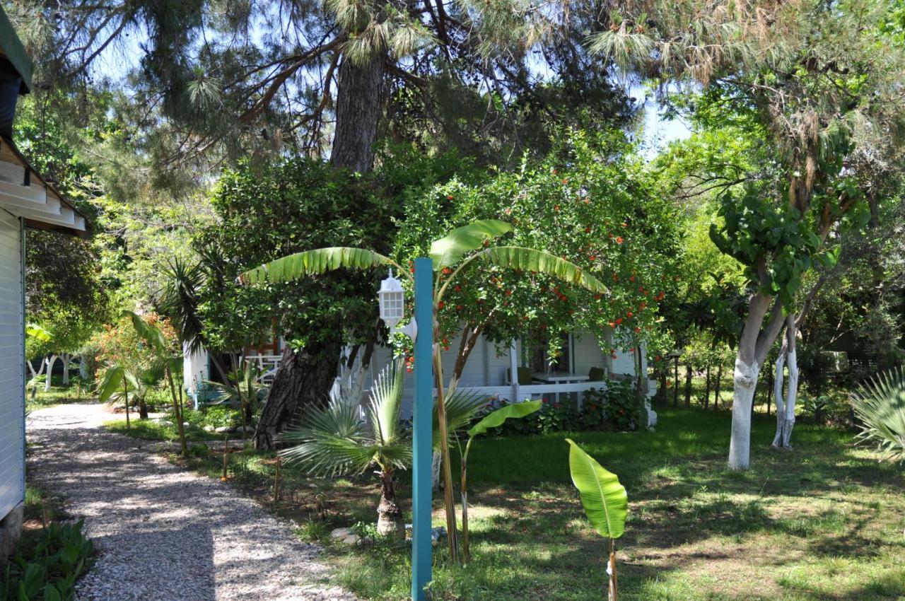Bellerofon Beach Otel Çıralı Exteriör bild