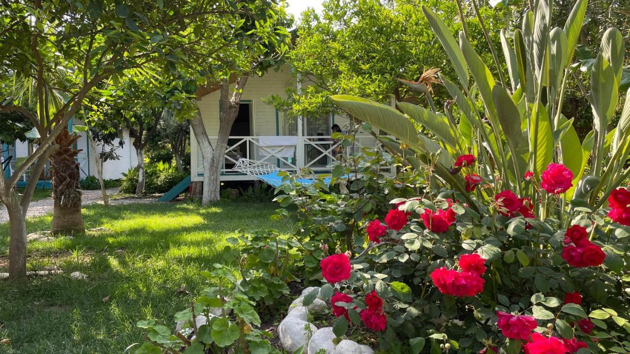 Bellerofon Beach Otel Çıralı Exteriör bild