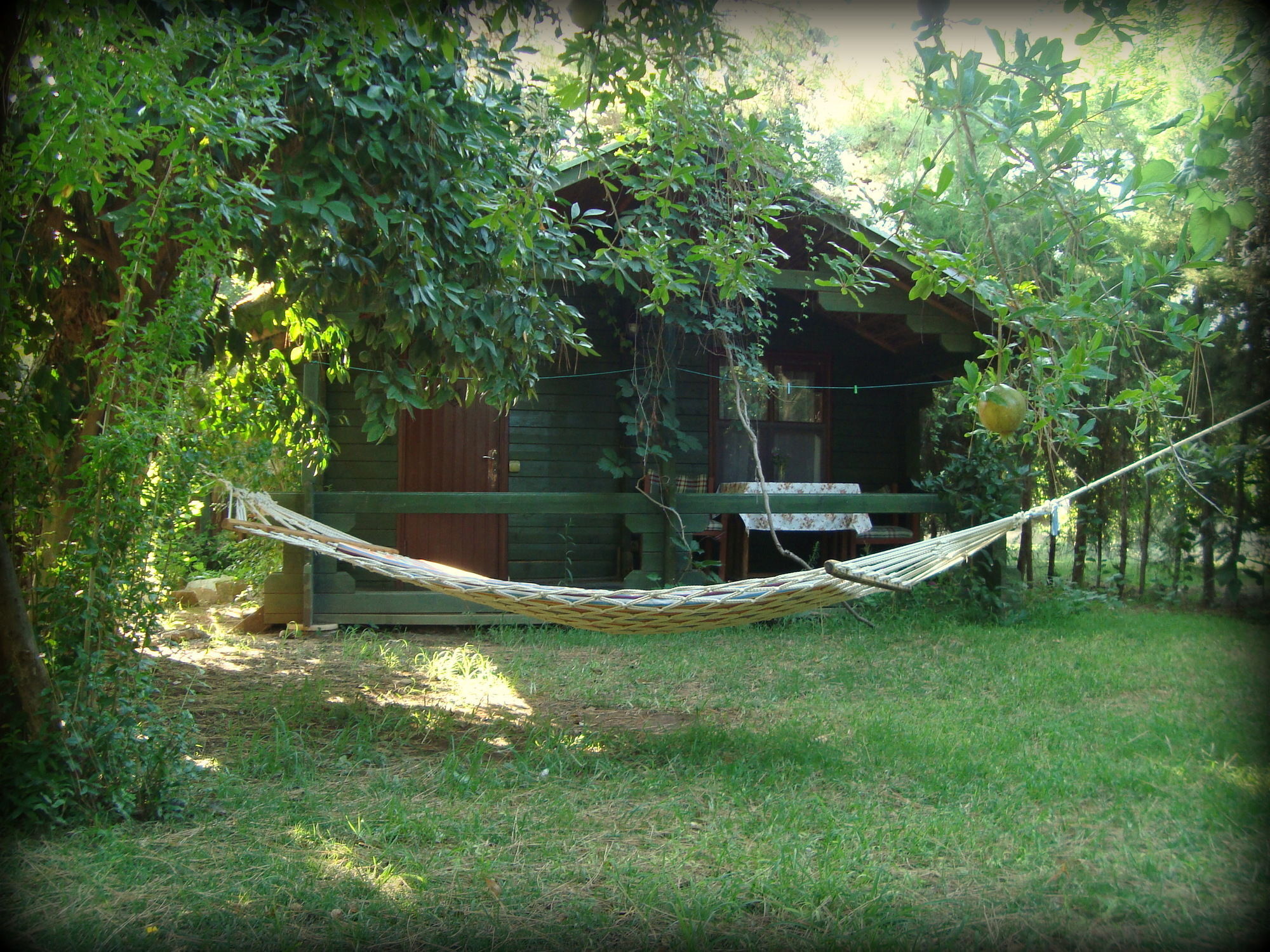 Bellerofon Beach Otel Çıralı Exteriör bild