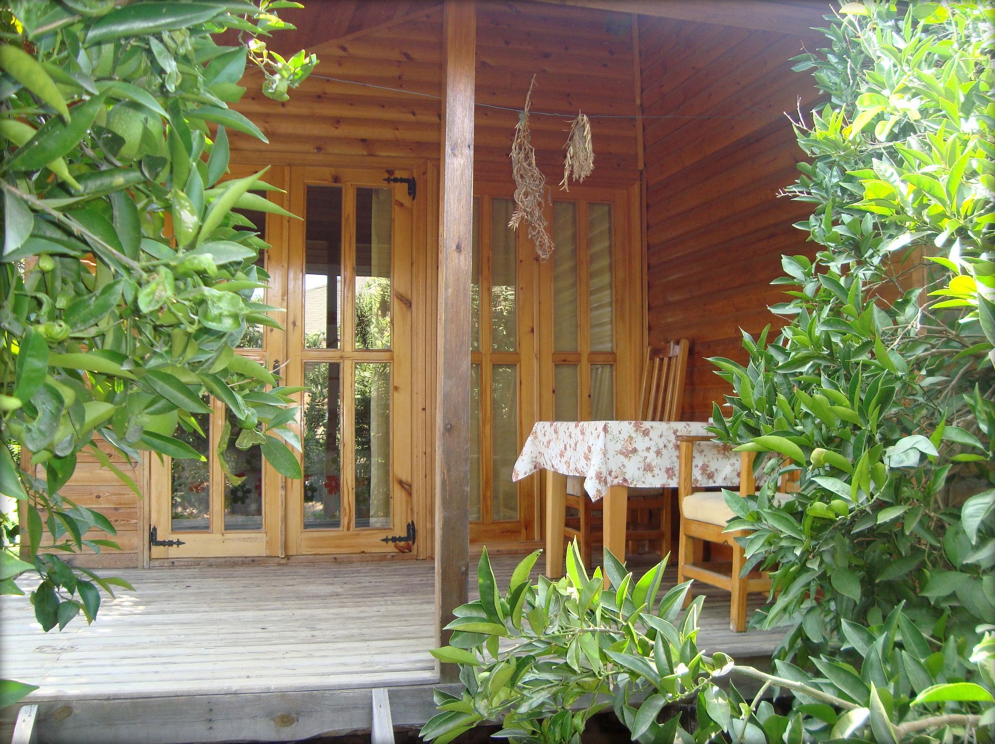 Bellerofon Beach Otel Çıralı Exteriör bild