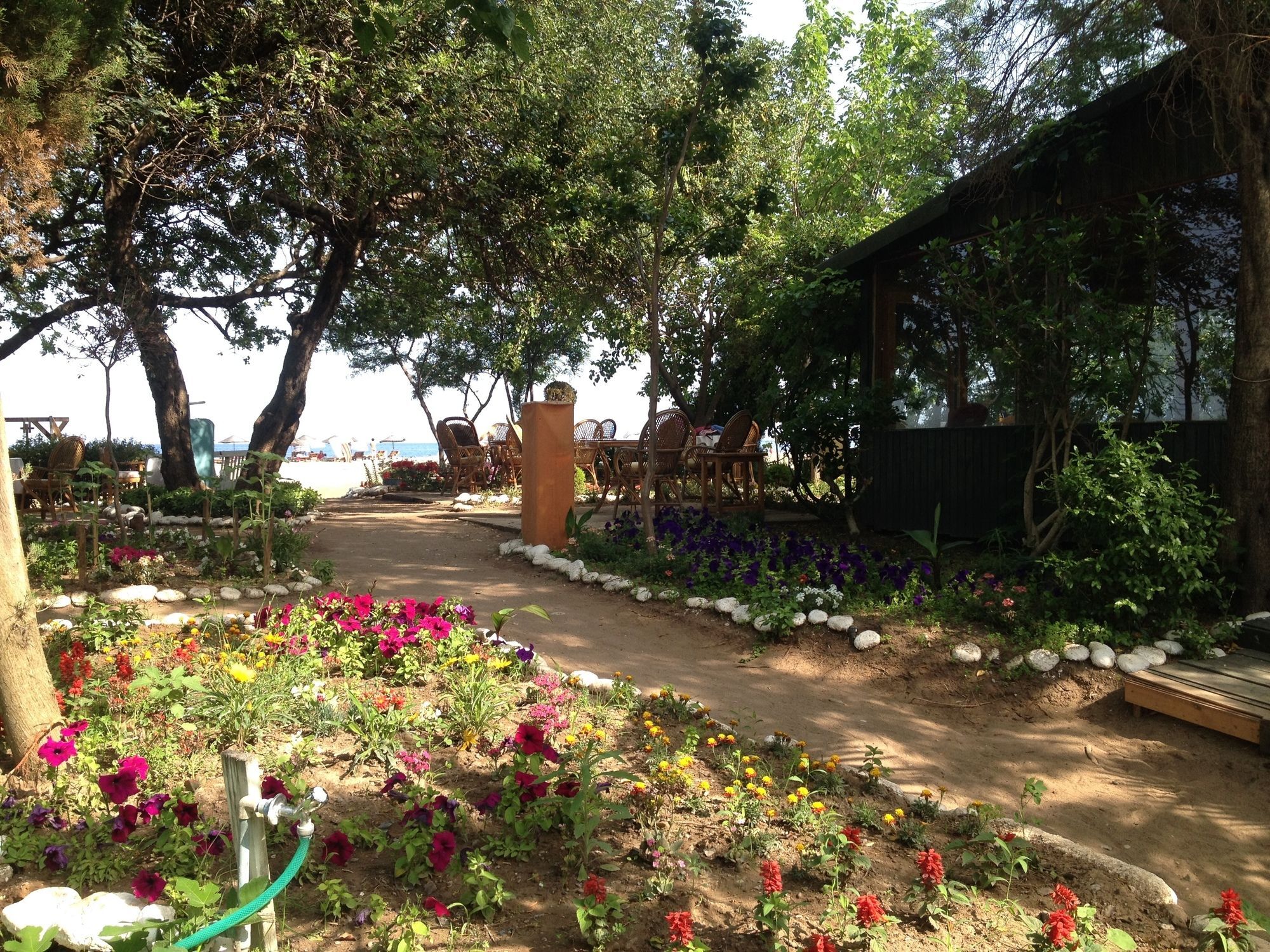 Bellerofon Beach Otel Çıralı Exteriör bild