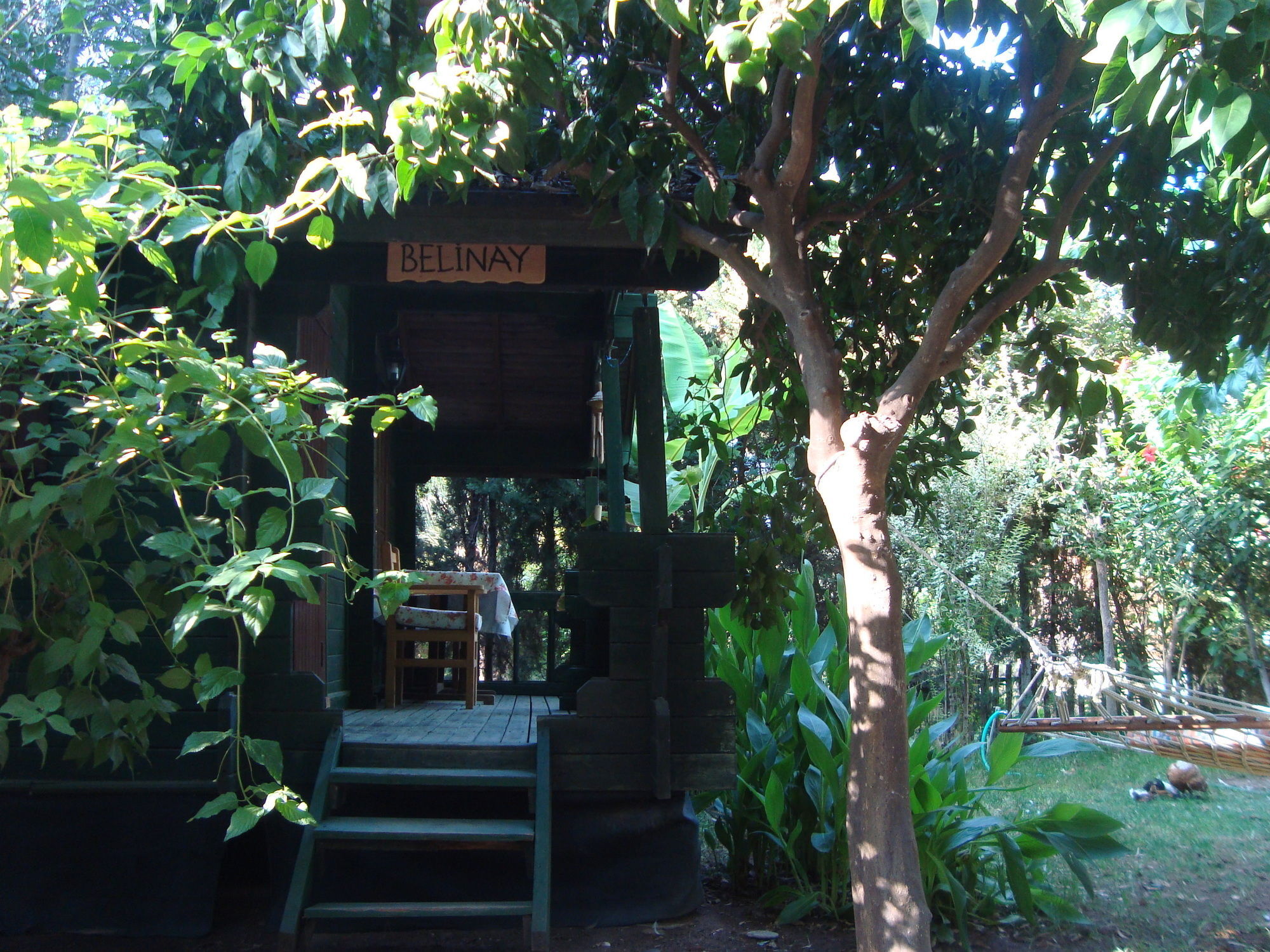 Bellerofon Beach Otel Çıralı Exteriör bild